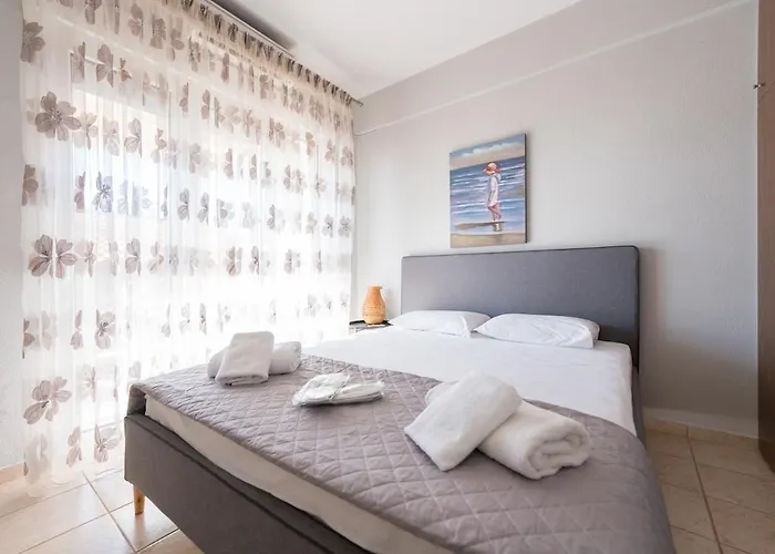 Jella's Sunny * 尼尔斯吉尼